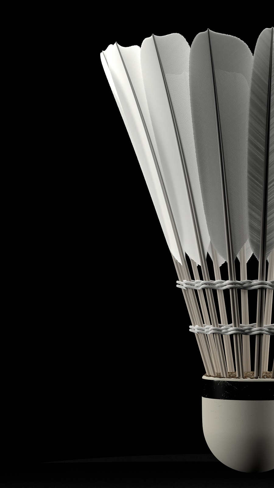 发挥自身的 发挥自身的